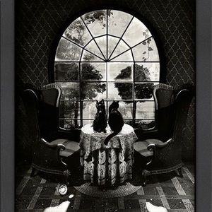 Meet your Posher, Chandra